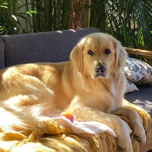 Meet your Posher, Karen